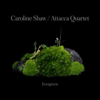 CD Caroline Shaw: Evergreen 422223