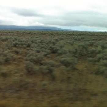 CD Caroline Says: 50,000,000 Elvis Fans Can't Be Wrong