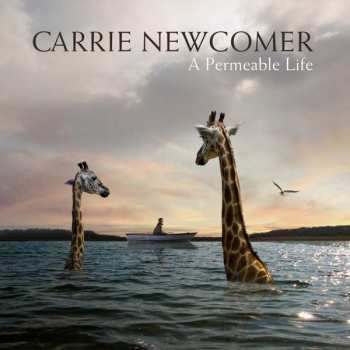 CD Carrie Newcomer: A Permeable Life 401768