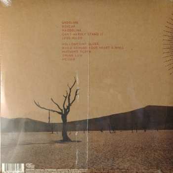LP Cary Ann Hearst: Shovels And Rope 271673