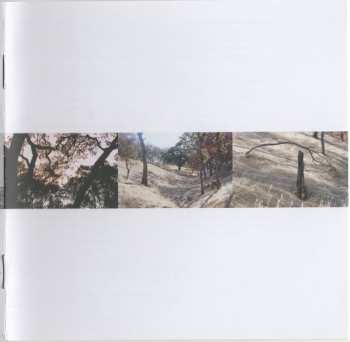 CD Cass McCombs: Interior Live Oak