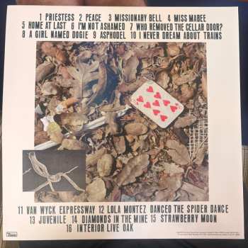 2LP Cass McCombs: Interior Live Oak