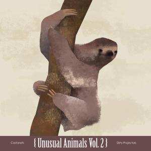 Album Castanets/dirty Projector: Unusual Animals 2