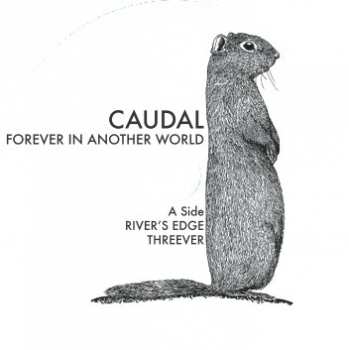 LP Caudal: Forever In Another World LTD 86627