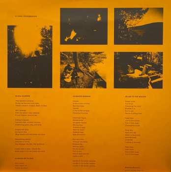 LP Cave In: Final Transmission