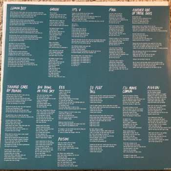 LP Cavetown: Lemon Boy CLR | LTD