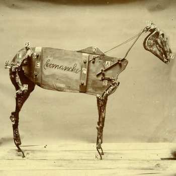 LP Chadwick Stokes: The Horse Comanche 16507