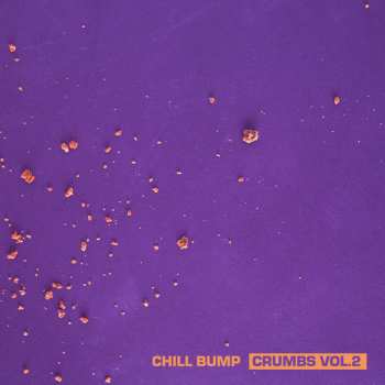Album Chill Bump: Crumbs Vol.2