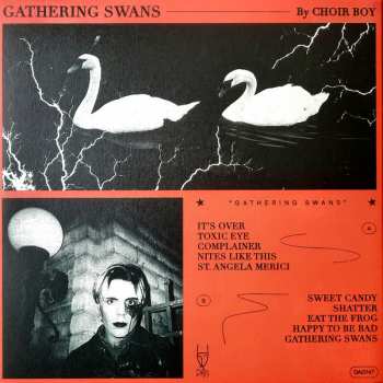 LP Choir Boy: Gathering Swans LTD | CLR 77613