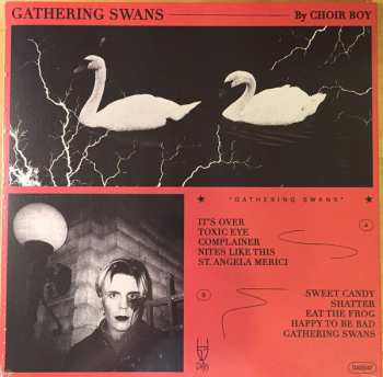 LP Choir Boy: Gathering Swans LTD | CLR 128975