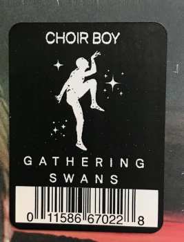 CD Choir Boy: Gathering Swans 283462