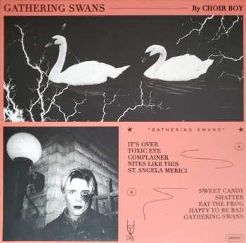 LP Choir Boy: Gathering Swans 373412