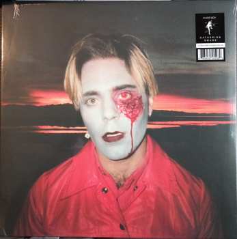 LP Choir Boy: Gathering Swans CLR | LTD