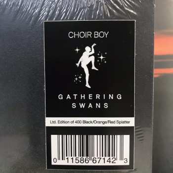LP Choir Boy: Gathering Swans LTD | CLR 77613