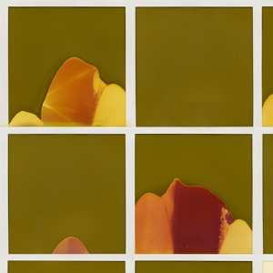 CD Chris Doyle: For Afie