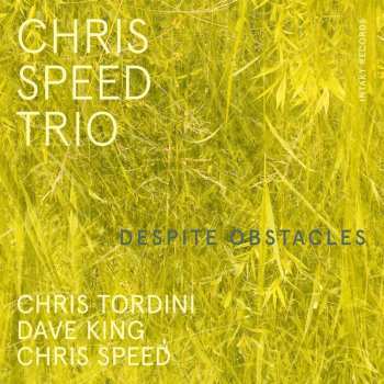CD Chris Speed Trio: Despite Obstacles 466333