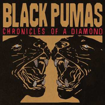 LP Black Pumas: Chronicles of a Diamond 480949