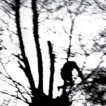 LP Cindytalk: Camouflage Heart