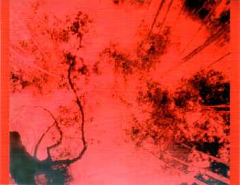 CD Cirkus: Page 12 (On The Right)