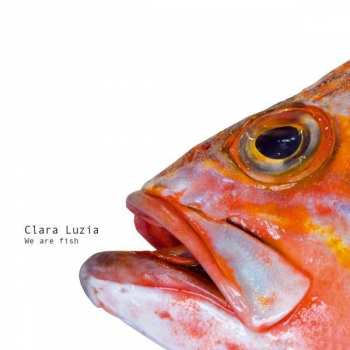 Album Clara Luzia: We Are Fish