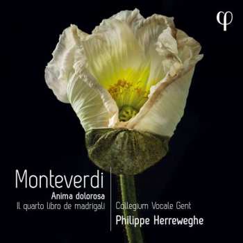 Album Claudio Monteverdi: Anima Dolorosa - Il Quarto Libro De Madrigali