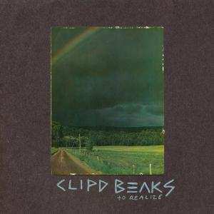 Album Clipd Beaks: To Realize