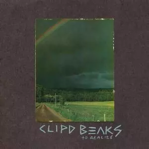 Clipd Beaks: To Realize