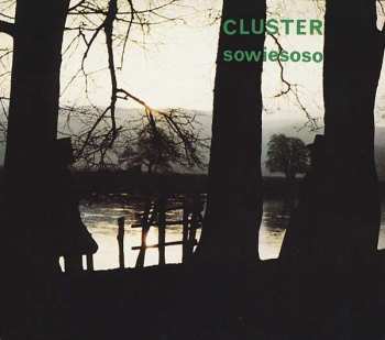Cluster: Sowiesoso