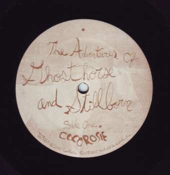LP CocoRosie: The Adventures Of Ghosthorse And Stillborn 192486