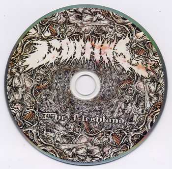 CD Coffins: The Fleshland 528949