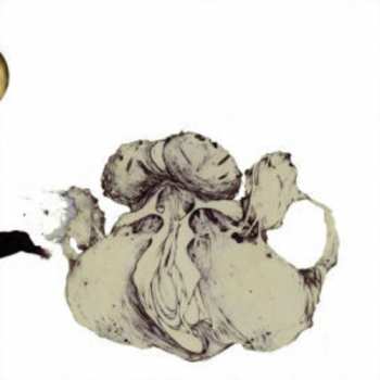 CD Coil: The Ape Of Naples