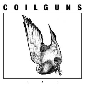 Coilguns: A&B 2011​-​2012