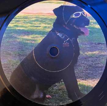 SP Cold Meat: Jimmy's Lipstick