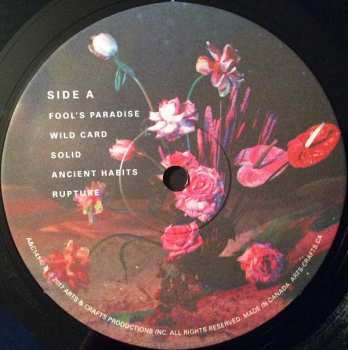 LP Cold Specks: Fool's Paradise 364709