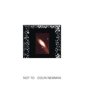 Album Colin Newman: Not To