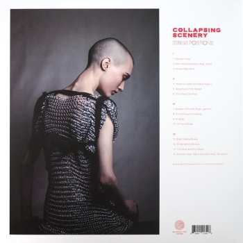 2LP Collapsing Scenery: Stress Positions CLR