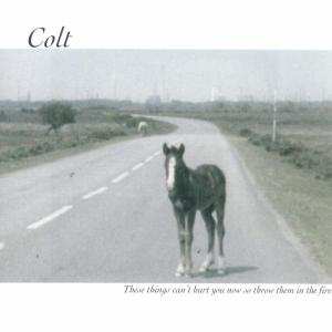 Album Colt: These Things Can't Hurt You Now So Throw Them In The Fire