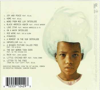 CD Common: Black America Again 431631