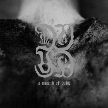 Album Common Eider, King Eider: A Wound Of Body
