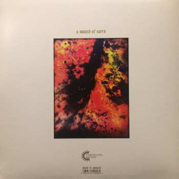 LP Common Eider, King Eider: A Wound Of Earth 294156