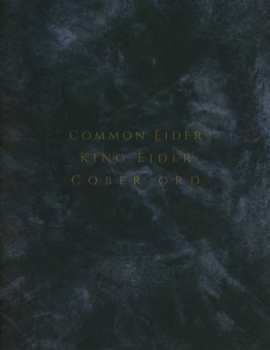 Album Common Eider, King Eider: Palimpseste