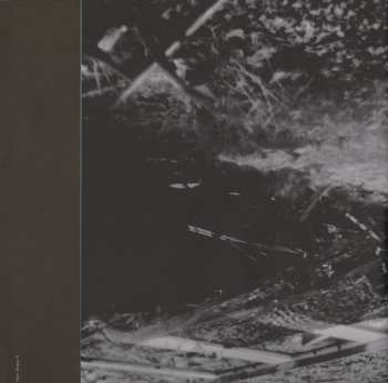 LP Common Eider, King Eider: Worn