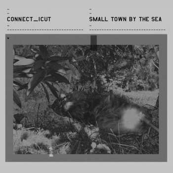 Album Connect_icut: Small Town By The Sea