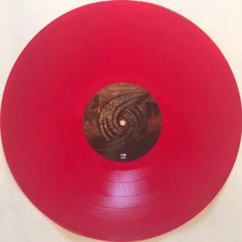 LP Nita Strauss: Controlled Chaos