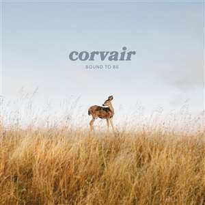 LP Corvair: Bound To Be CLR 457805