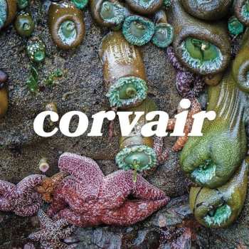 Album Corvair: Corvair
