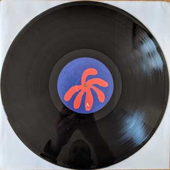 LP Crepes: In Cahoots