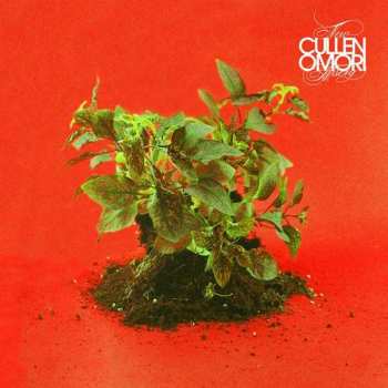 Album Cullen Omori: New Misery