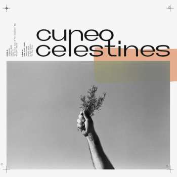 Cuneo: Celestines