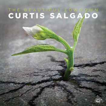 Album Curtis Salgado: The Beautiful Lowdown